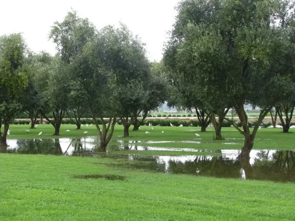 Kfar Blum